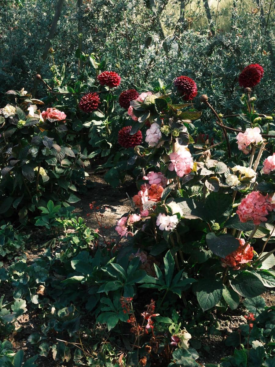 Natasha Wilona berkeliling Central Garden di Getty Center