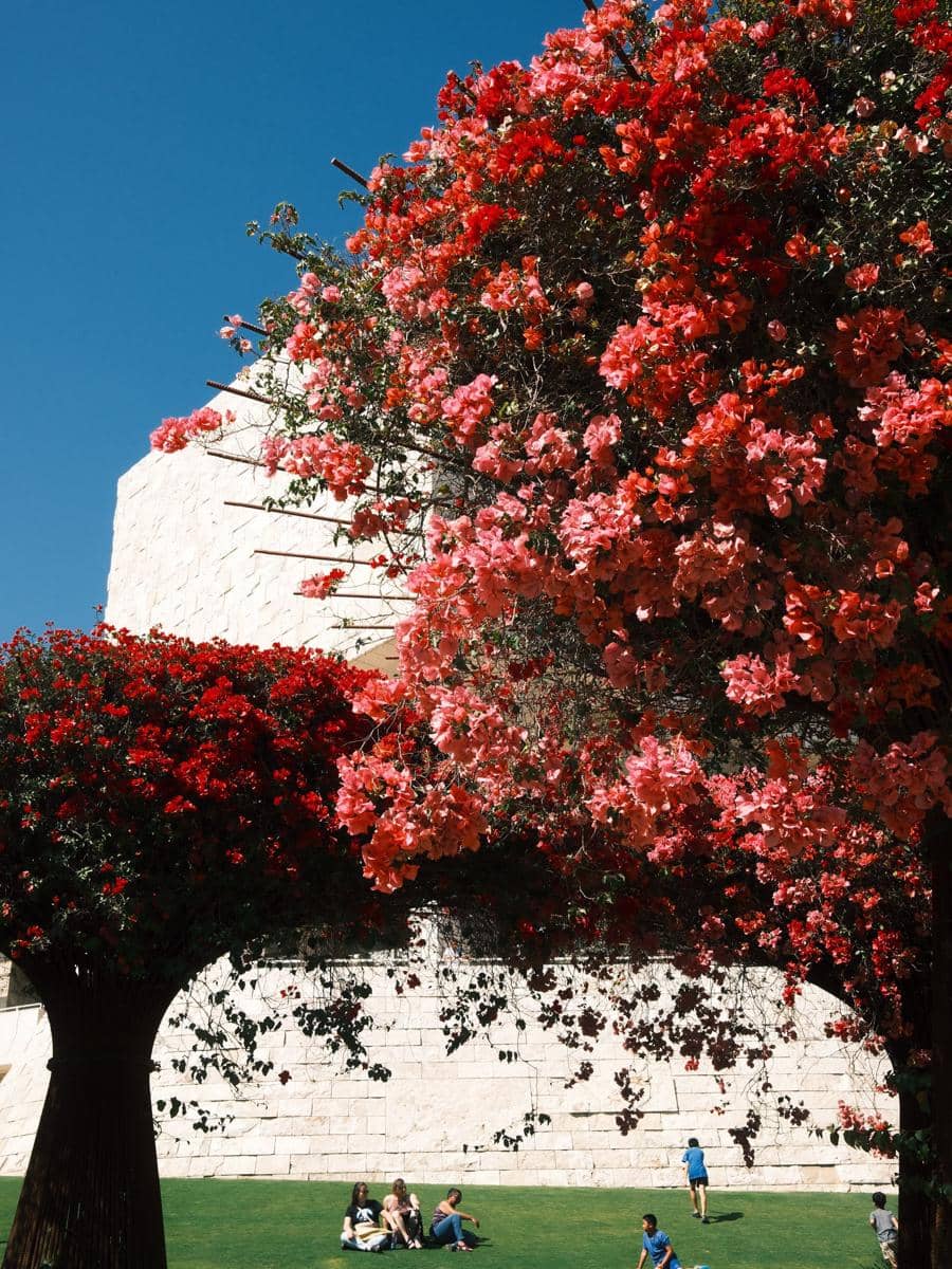 Natasha Wilona berkeliling Central Garden di Getty Center