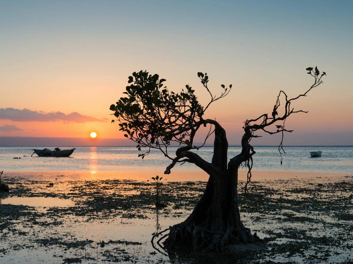 ilustrasi Pantai Walakiri