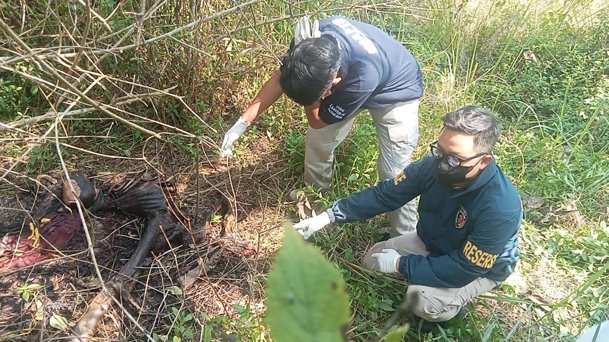 Geger, Warga Sukabumi Temukan Mayat yang Sudah Jadi Kerangka