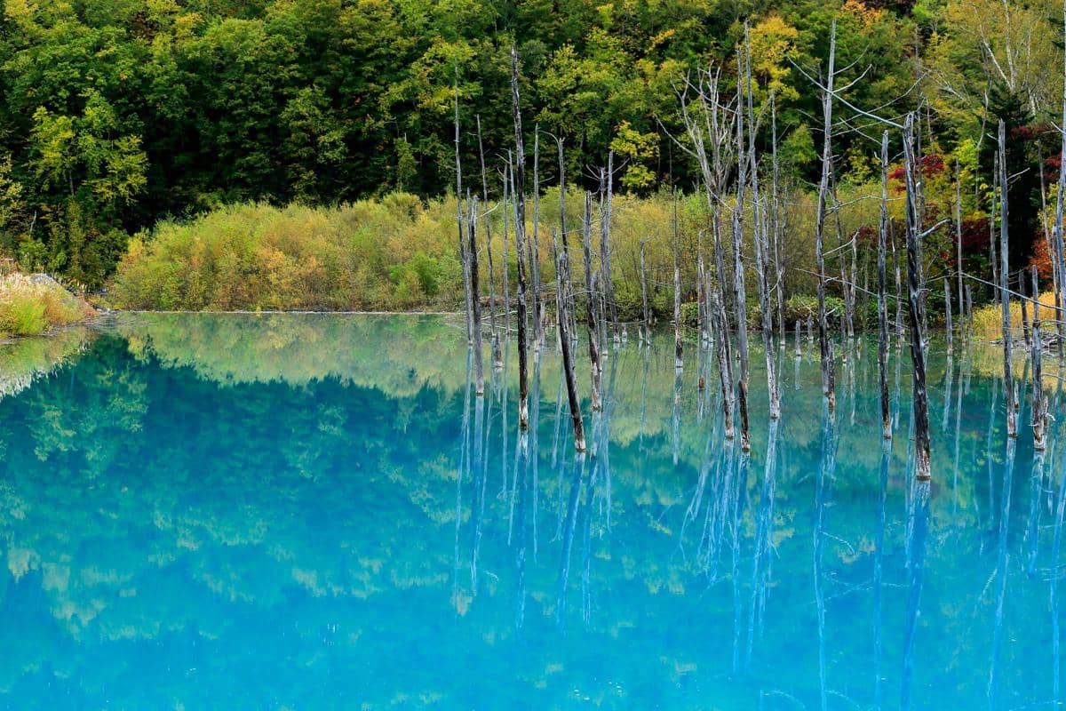ilustrasi Shirogane Blue Pond Biei, Hokkaido