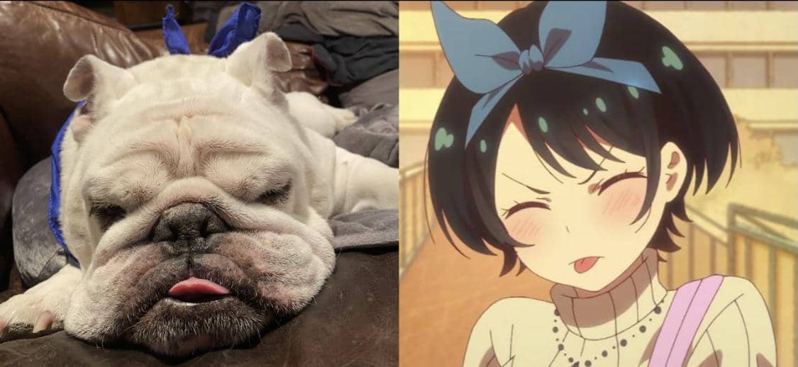 meme anime tentang momen gak sengaja