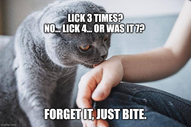 meme kucing tentang pengkhianatan