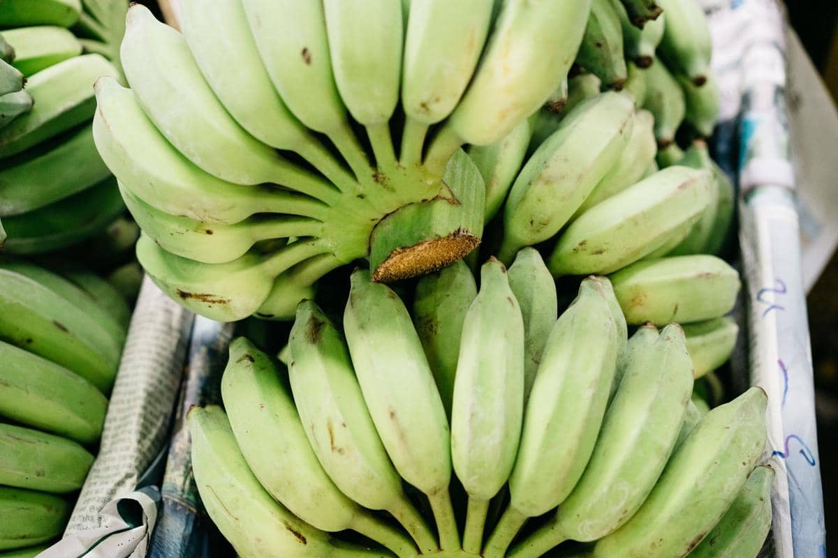 ilustrasi pisang mengkal