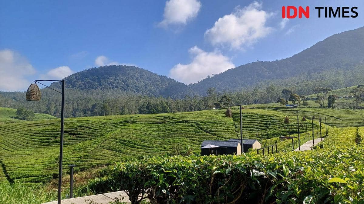 7 Wisata Sejuk di Jawa Barat dengan Panorama Alam Memanjakan Mata