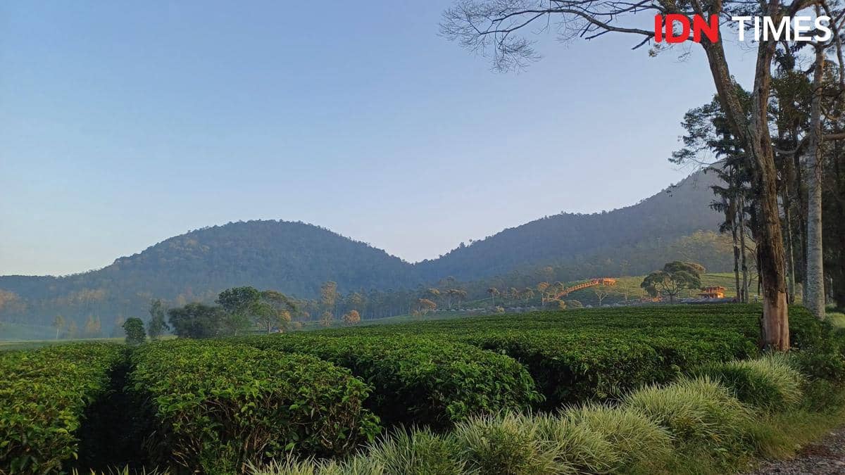 Potret Pangalengan, Bandung 