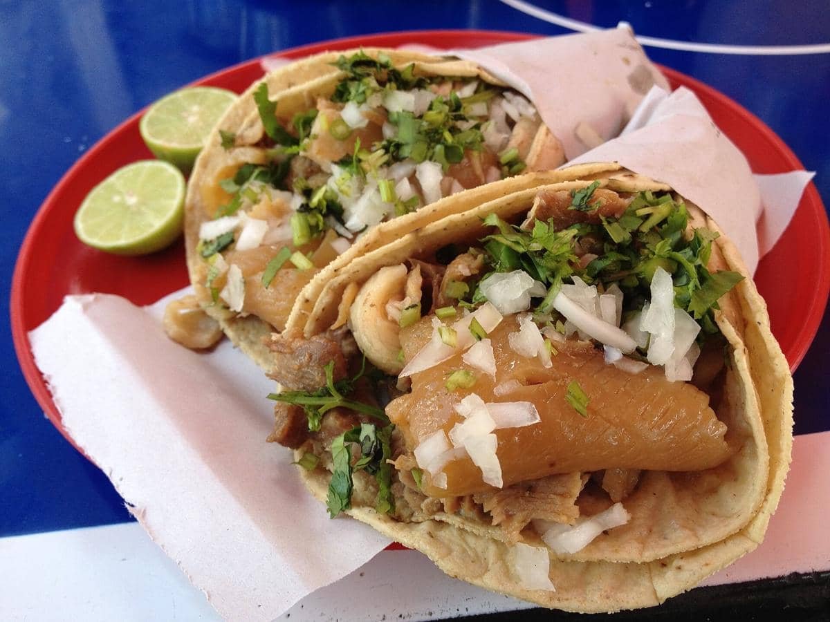 ilustrasi taco de carnitas