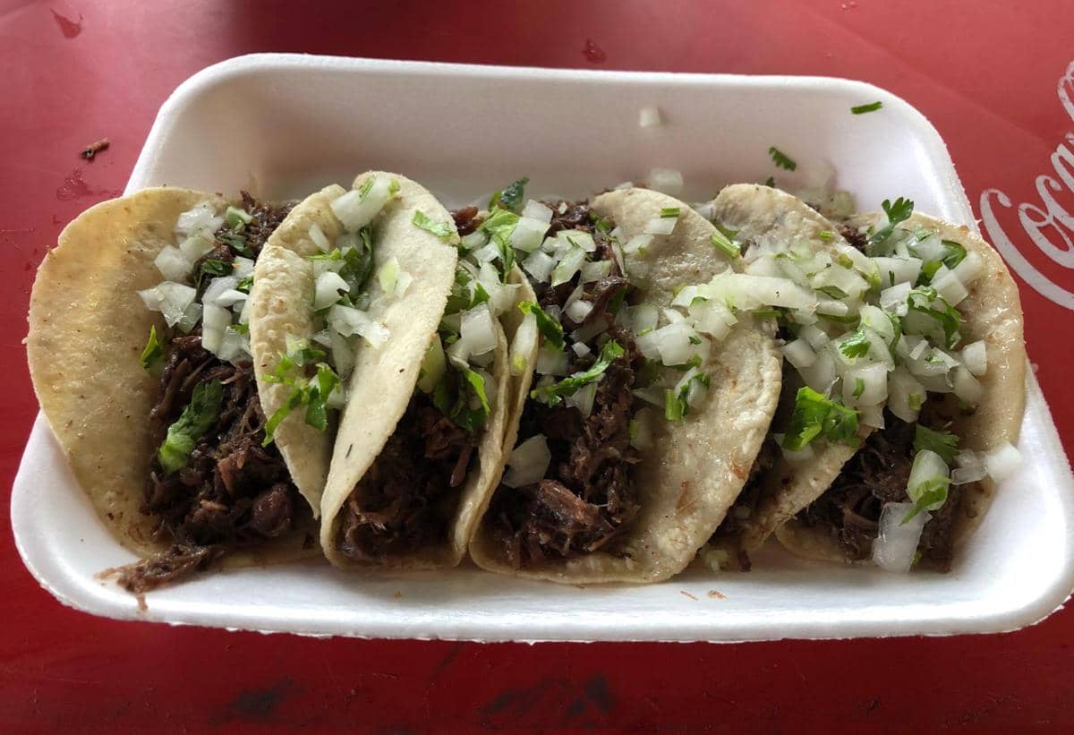ilustrasi taco de barbacoa