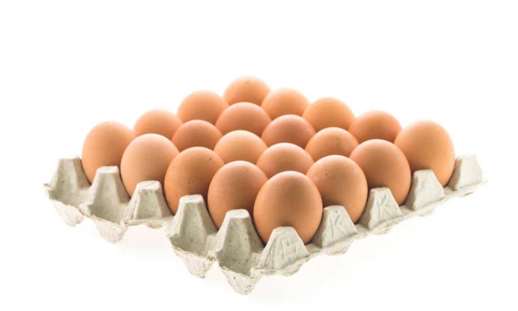 Sekotak telur ayam negeri berwarna cokelat muda tersusun rapi di wadah karton abu-abu dengan latar belakang putih bersih.