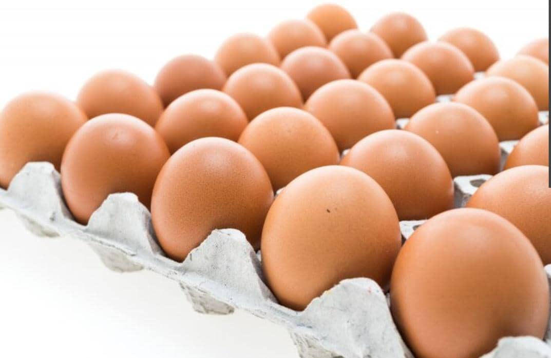 Deretan telur ayam negeri berwarna cokelat tersusun rapi di wadah karton abu-abu dengan latar belakang putih terang.