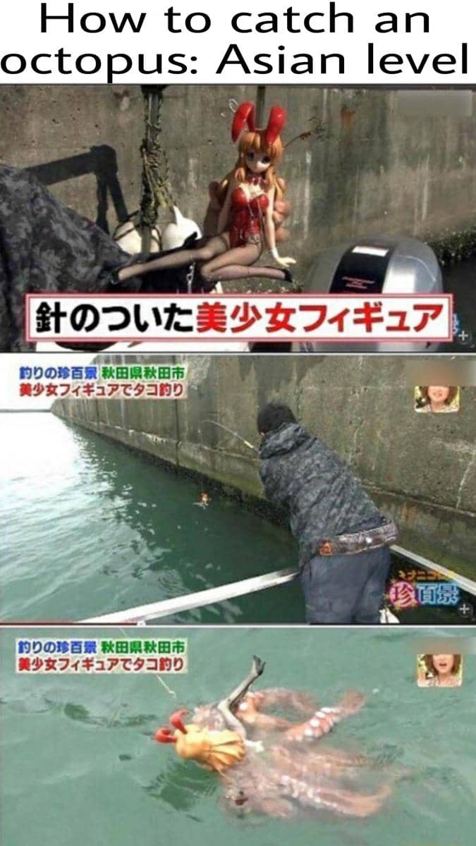 meme anime tentang gurita