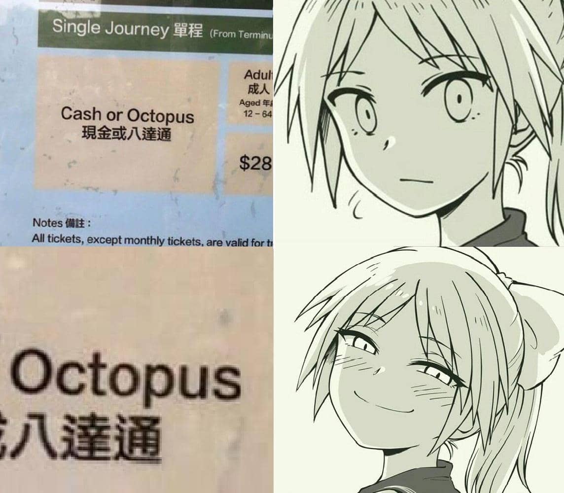 meme anime tentang gurita
