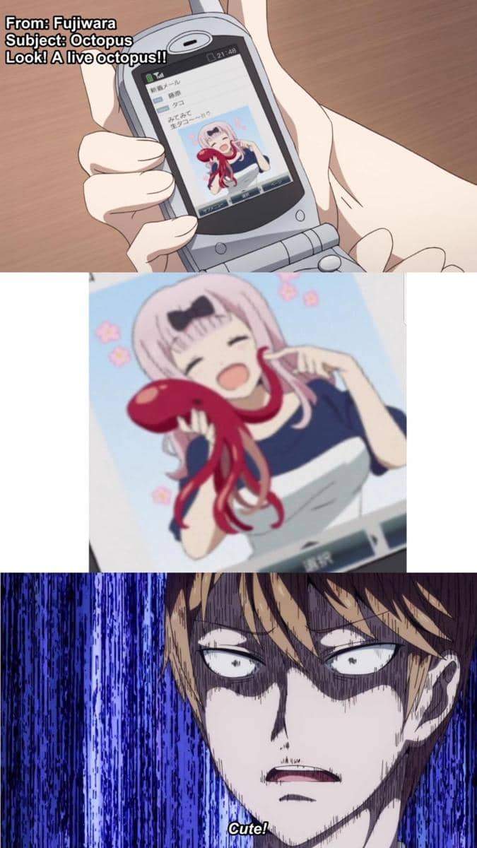meme anime tentang gurita