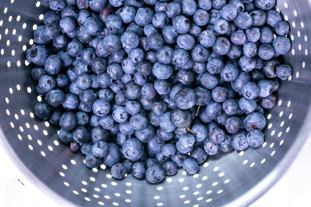 ilustrasi mencuci buah blueberry