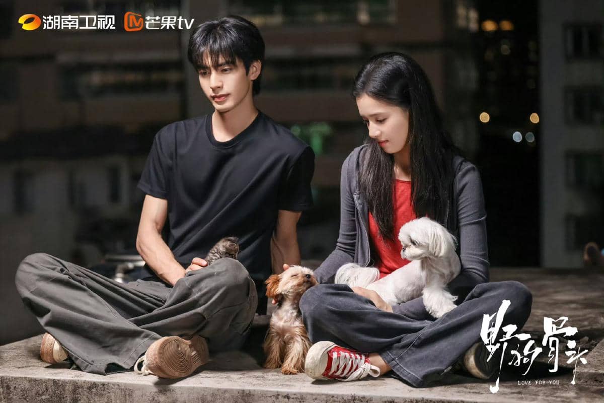 Dua pemeran drama China Love for You duduk berdampingan di atap gedung pada malam hari sambil memegang anjing kecil.