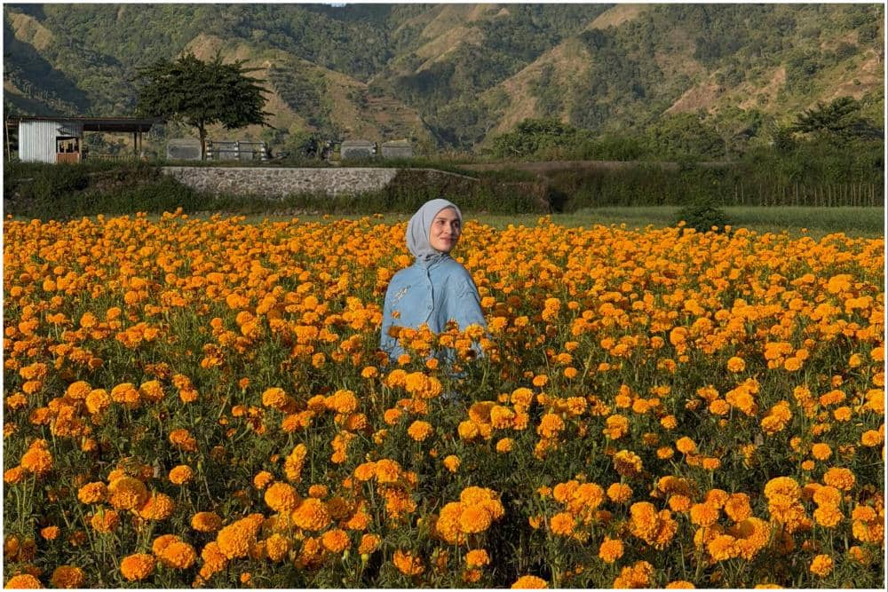 7 Potret Dwi Handayani di Tengah Kebun Bunga Marigold di Desa Sembalun