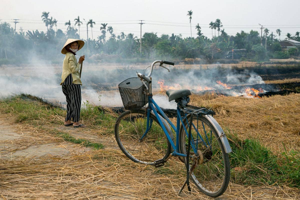 Seorang petani berdiri di dekat lahan pertanian yang terbakar dengan asap mengepul akibat musim kemarau dan cuaca ekstrem.