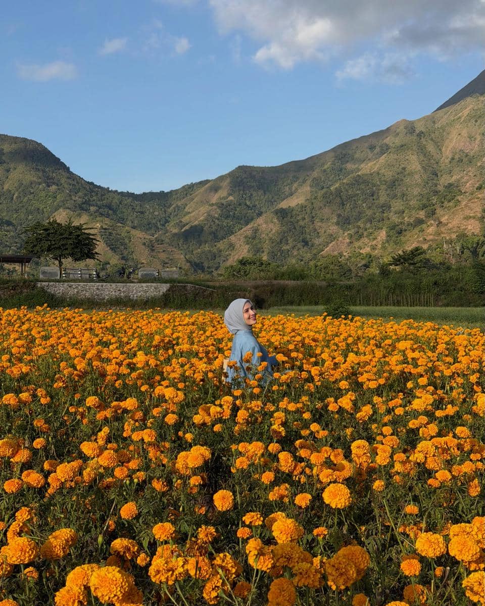 Dwi Handayani di tengah kebun bunga marigold di Desa Sembalun