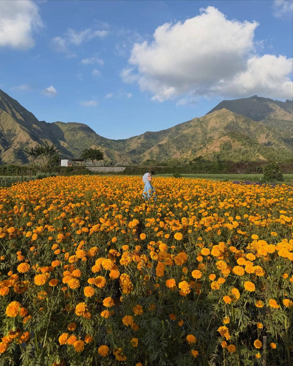 Dwi Handayani di tengah kebun bunga marigold di Desa Sembalun