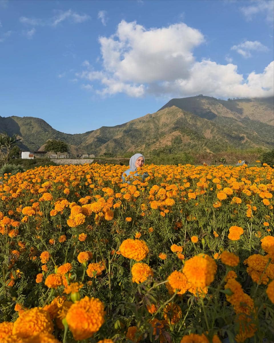 Dwi Handayani di tengah kebun bunga marigold di Desa Sembalun