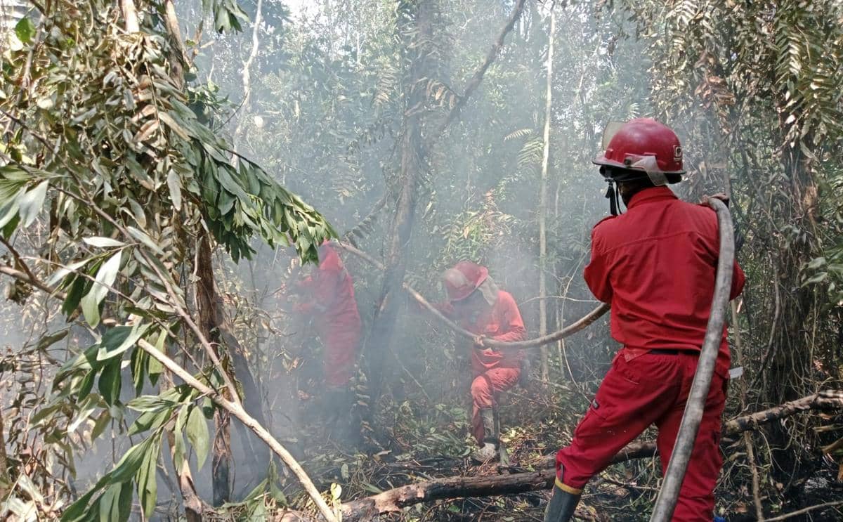Petugas Manggala Agni mengenakan seragam merah memadamkan kebakaran hutan di area berhutan lebat yang dipenuhi asap tebal.