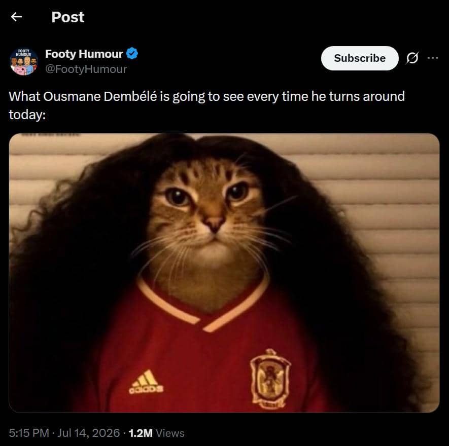 Seekor kucing mengenakan jersey tim nasional Spanyol dengan rambut panjang tebal menyerupai gaya pemain sepak bola dalam meme lucu.