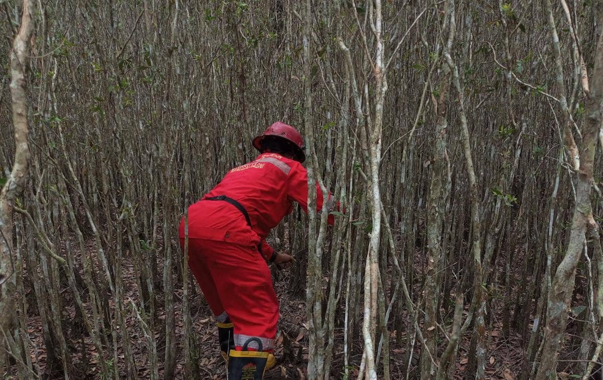 Pemadaman Karhutla Terkendala Medan di OKU Timur dan Banyuasin