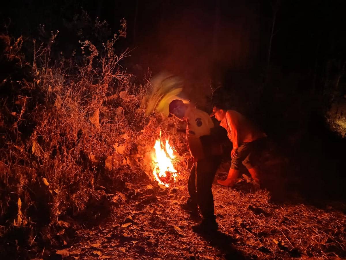 Karhutla di Mojokerto Meluas, Tim Terkendala Medan Terjal
