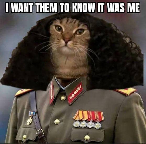 Meme lucu menampilkan wajah kucing dengan rambut keriting di tubuh seorang perwira militer berseragam lengkap dengan medali.