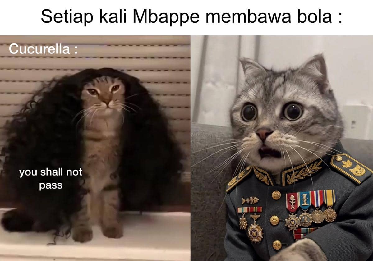 Meme dua kucing, satu memakai rambut palsu keriting dan satu mengenakan seragam militer dengan ekspresi terkejut, menggambarkan reaksi lucu saat pertandingan sepak bola.