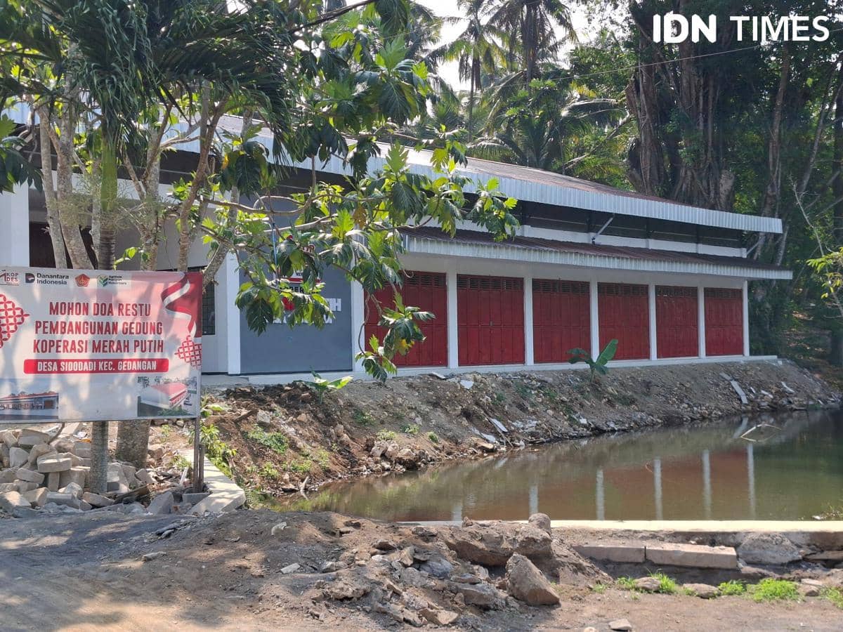 Bangunan Koperasi Merah Putih di Desa Sidodadi dengan pintu berwarna merah berdiri di tepi kolam kecil dikelilingi pepohonan.