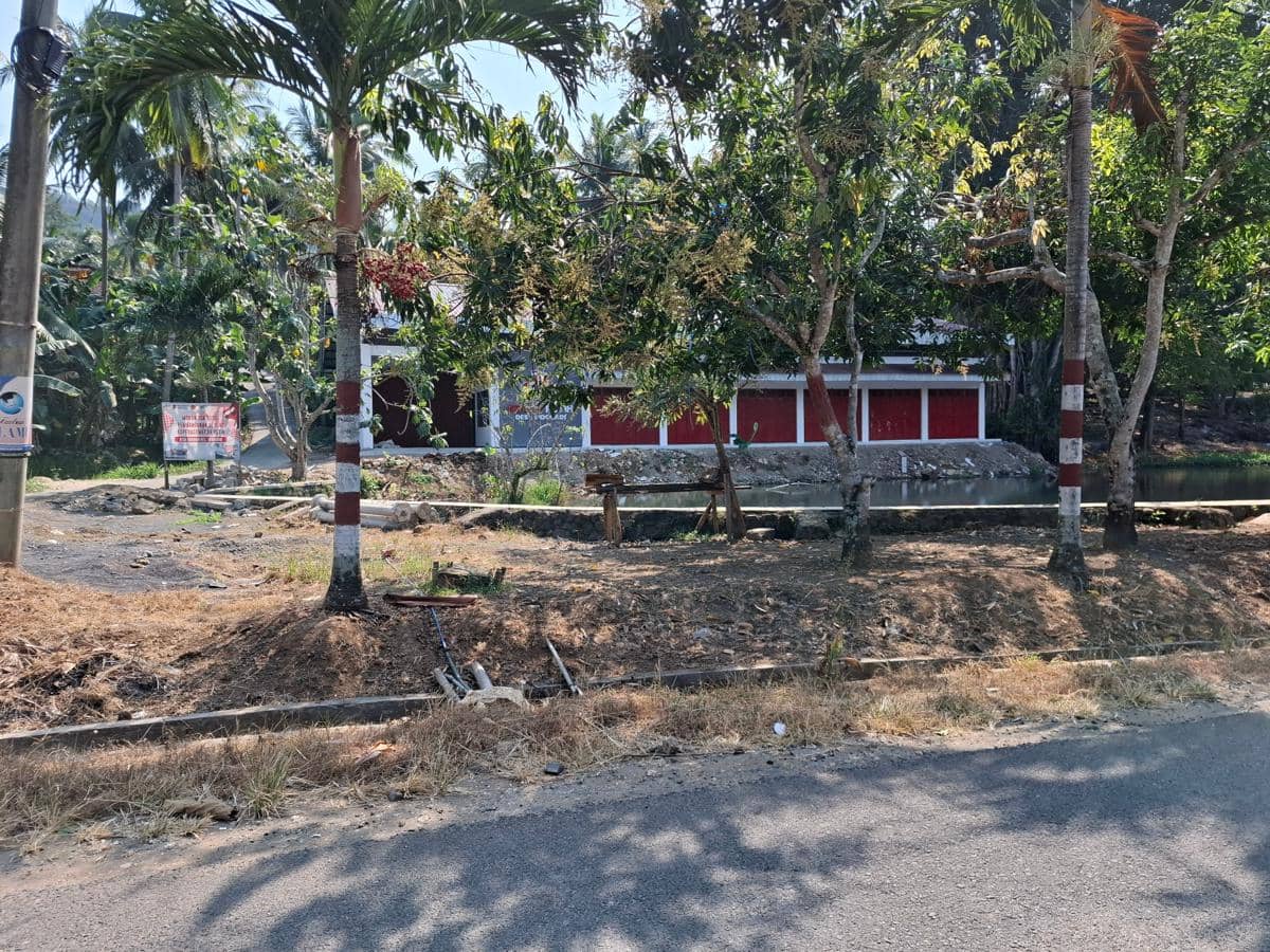 Bangunan KDKMP Desa Sidodadi dengan cat merah dan putih terlihat di balik pepohonan di tepi jalan desa yang rindang.