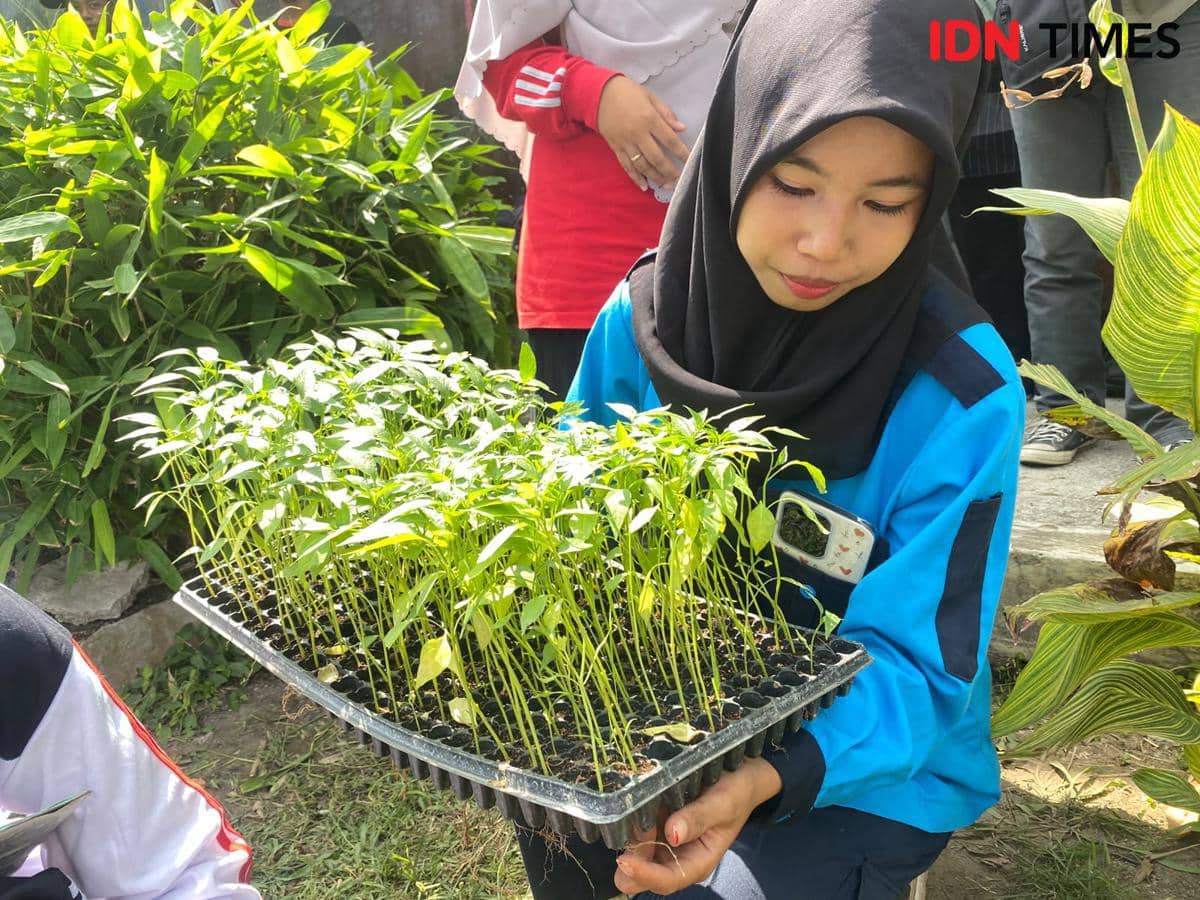 Atasi Inflasi, 41 Ribu Siswa Baru SMA/SMK di NTB Wajib Tanam Cabai