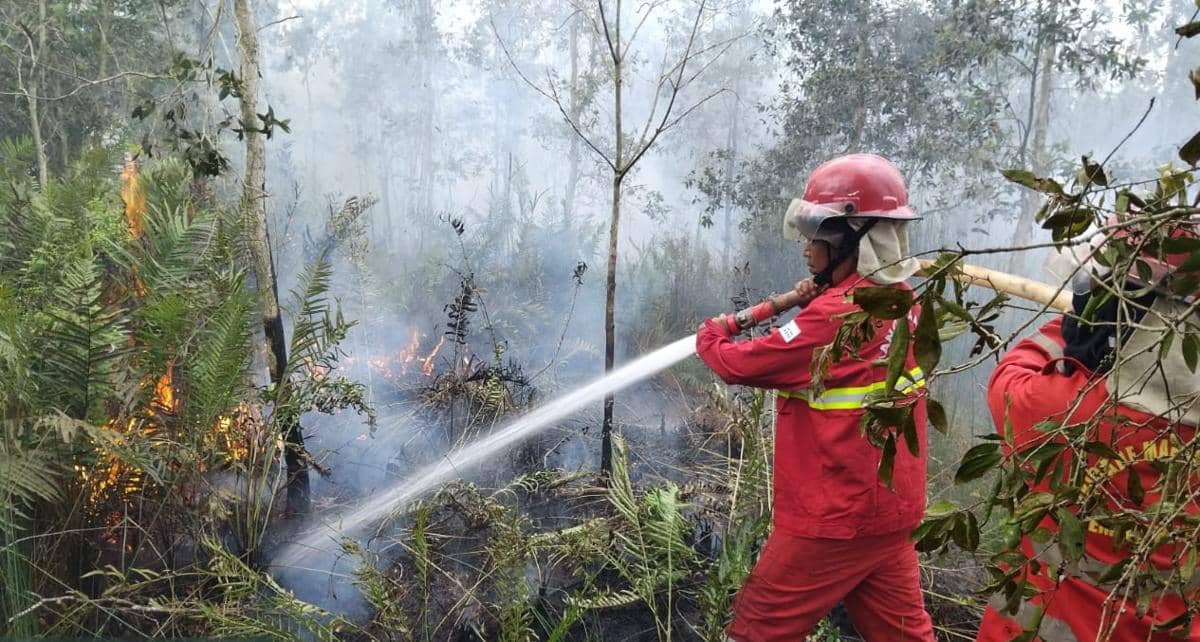 Petugas Manggala Agni mengenakan pakaian pelindung merah menyemprotkan air untuk memadamkan kebakaran hutan di area berasap.