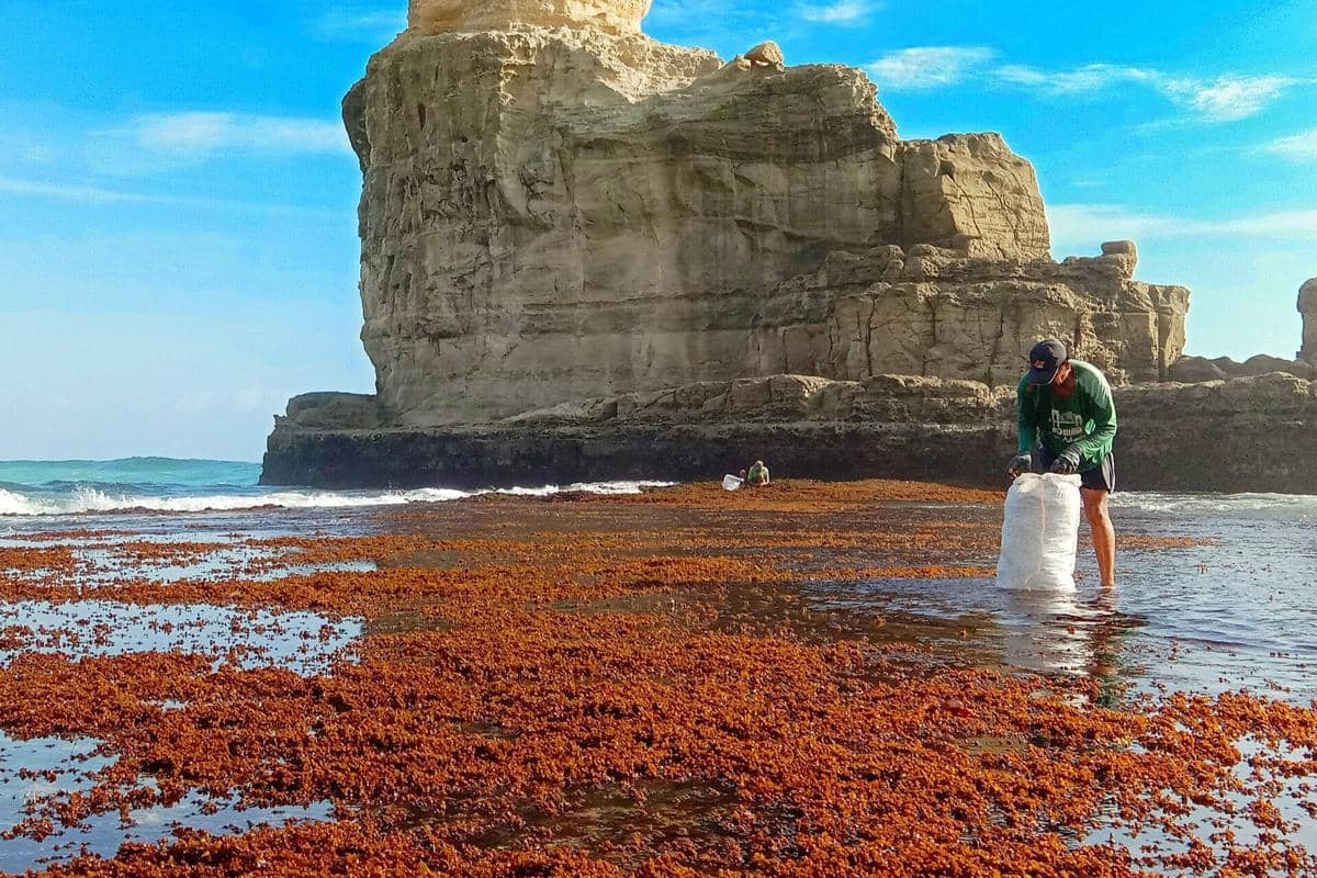 Pantai Buyutan, Pacitan