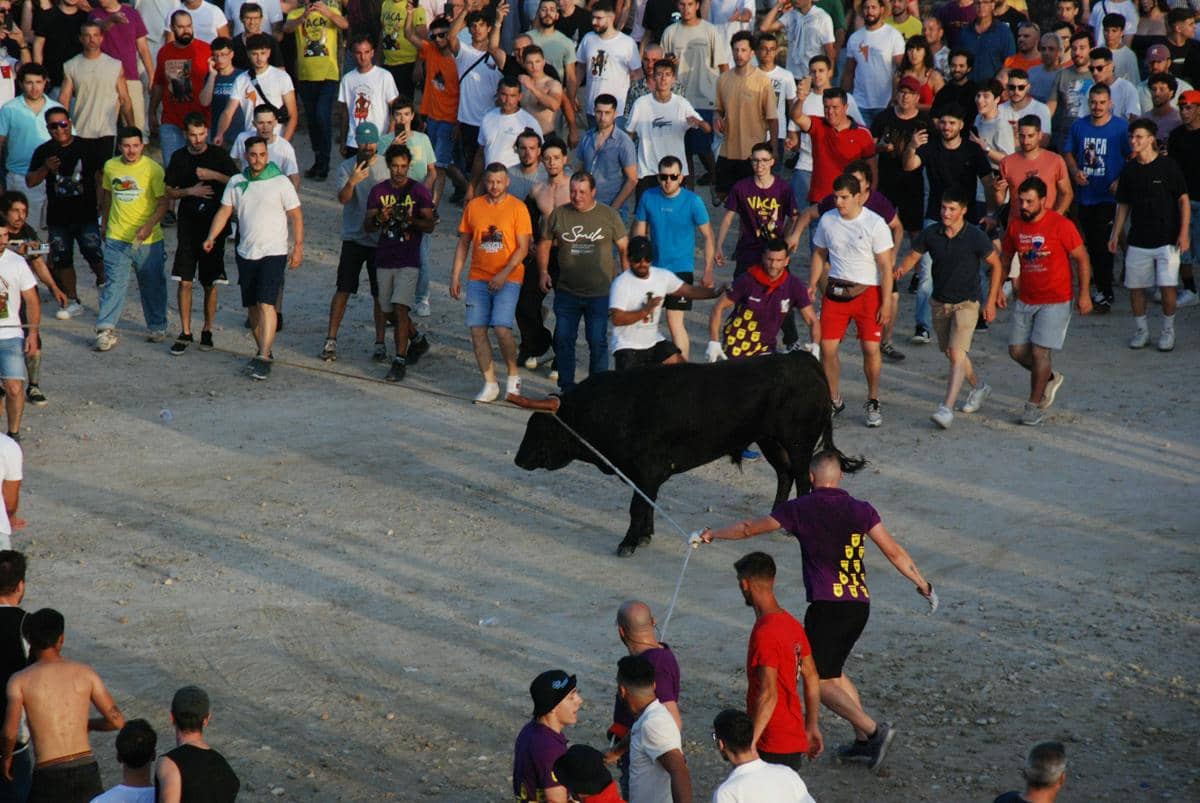 Resmi Ditutup, Festival Lari Banteng di Spanyol Catat 57 Korban