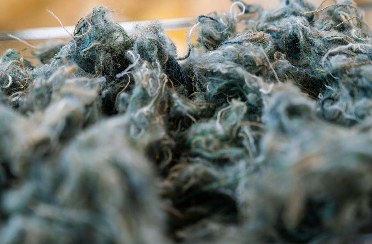 ilustrasi eco textiles