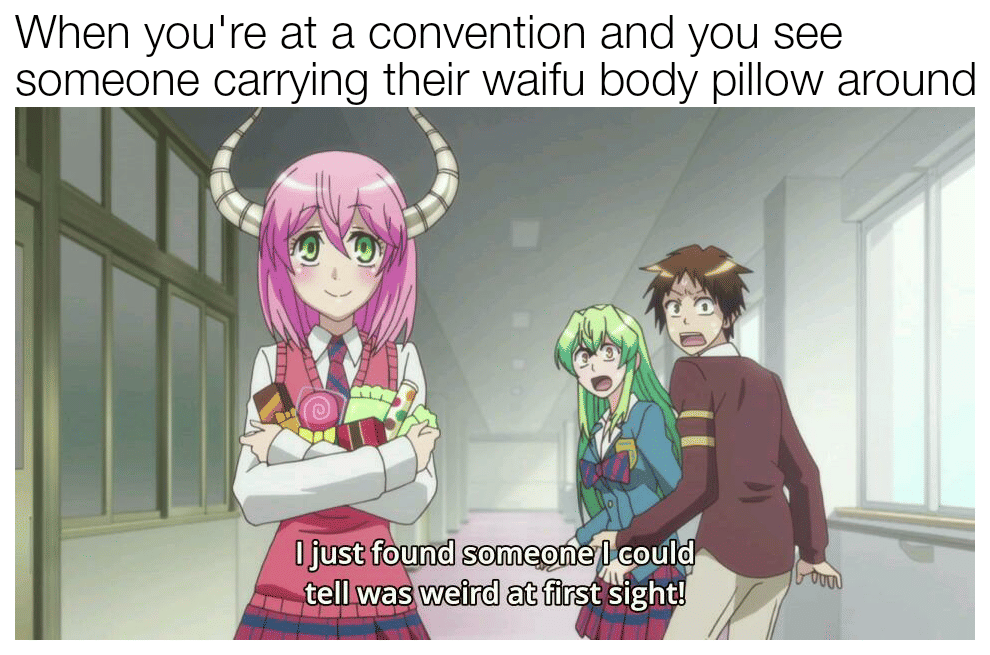 8 Meme Anime tentang Acara Jejepangan, Bawa Bantal Waifu!
