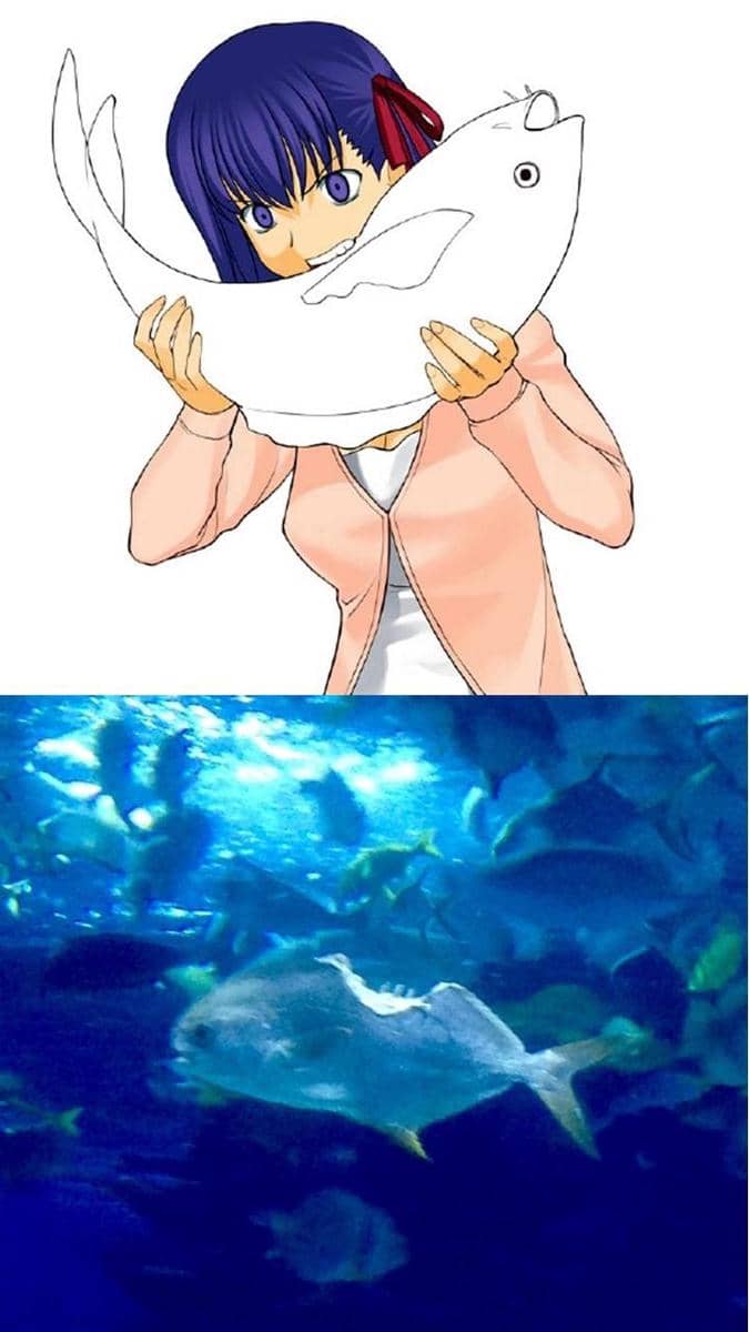 meme anime tentang ikan
