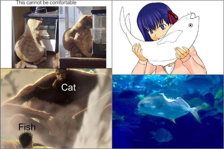 8 Meme Anime tentang Ikan, Udah Diincar Kucing?