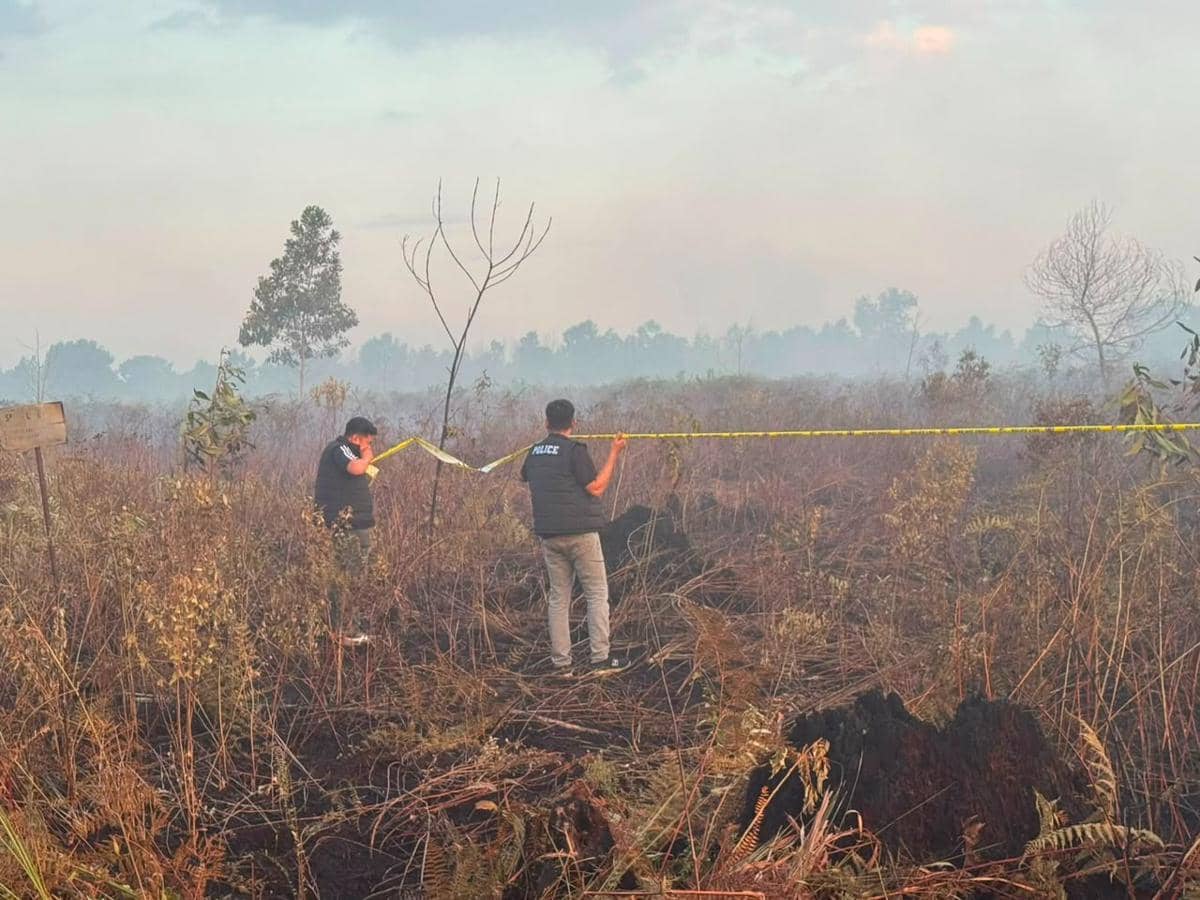 Lahan 4 Hektare Terbakar, Api Diduga dari Puntung Rokok Pemancing