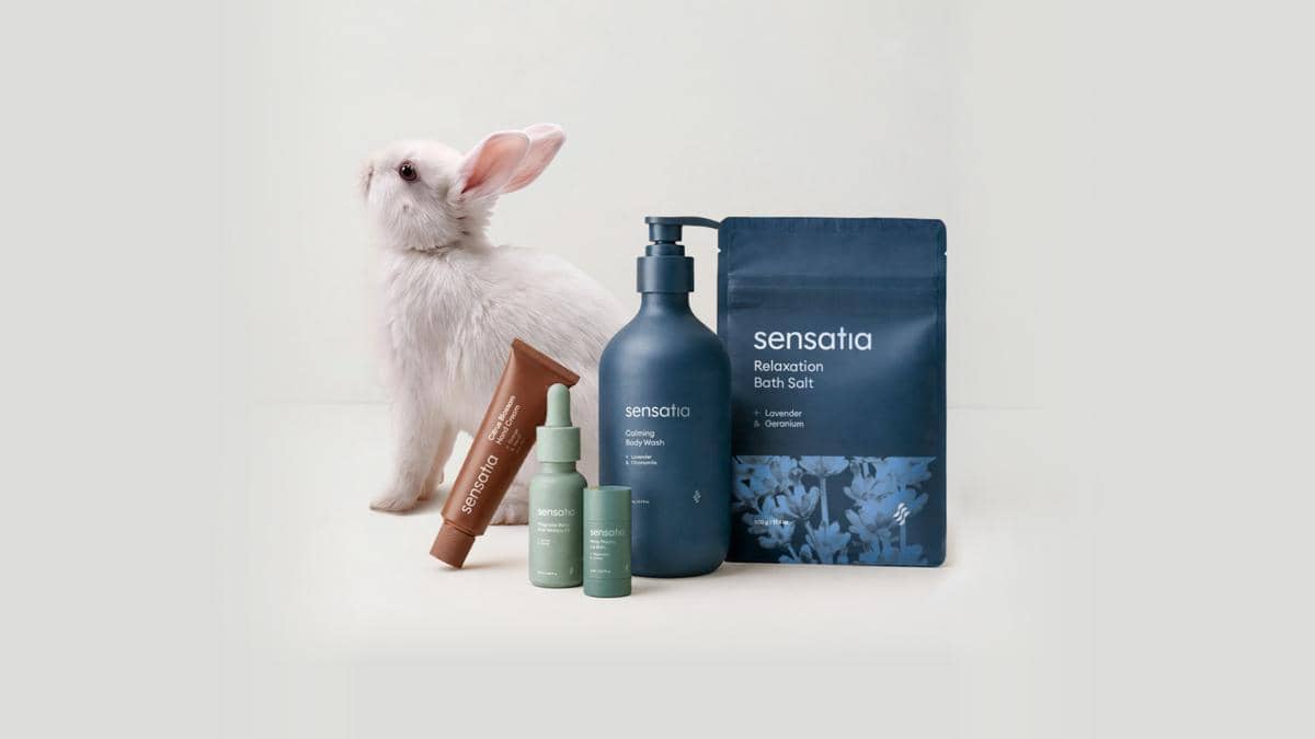 Sensatia-CFI (2).jpg