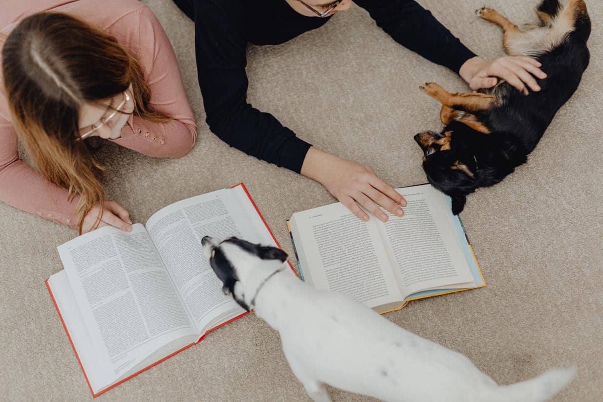 Kamu Animal Lover? 7 Buku Ini Bisa Ubah Cara Pandangmu