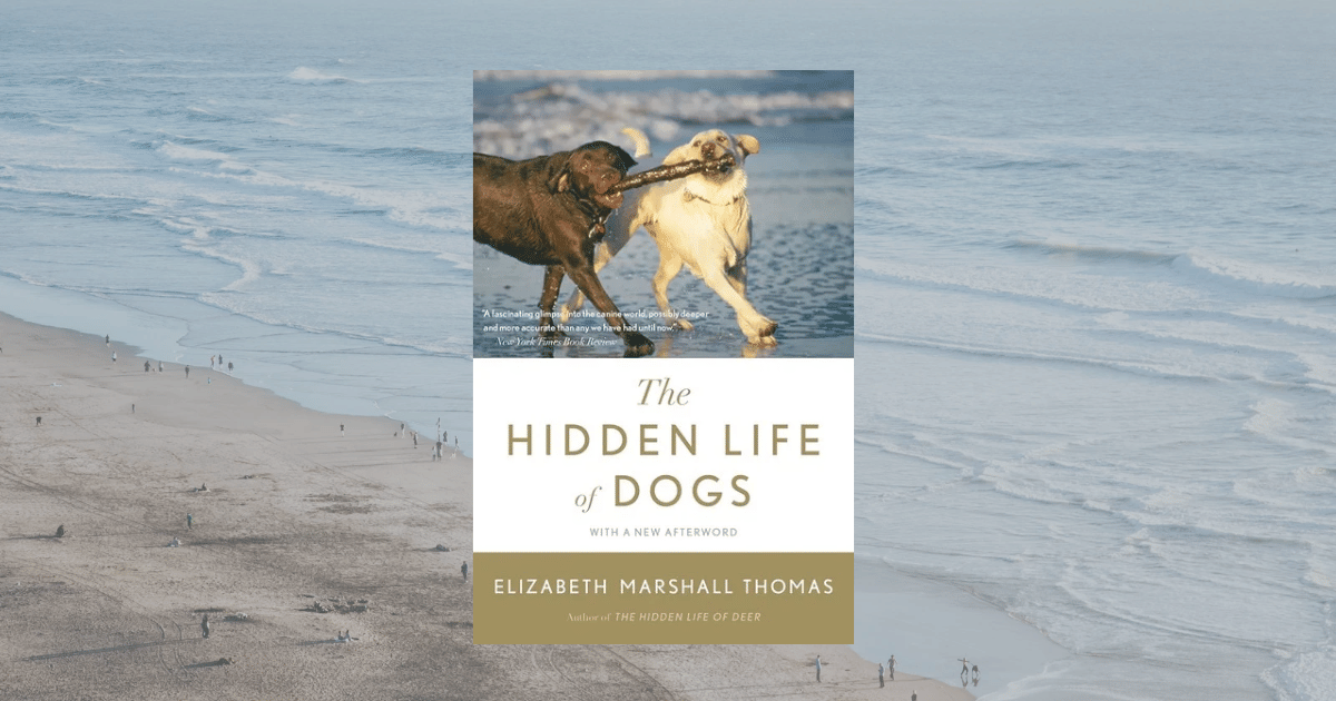 cover buku The Hidden Life of Dogs