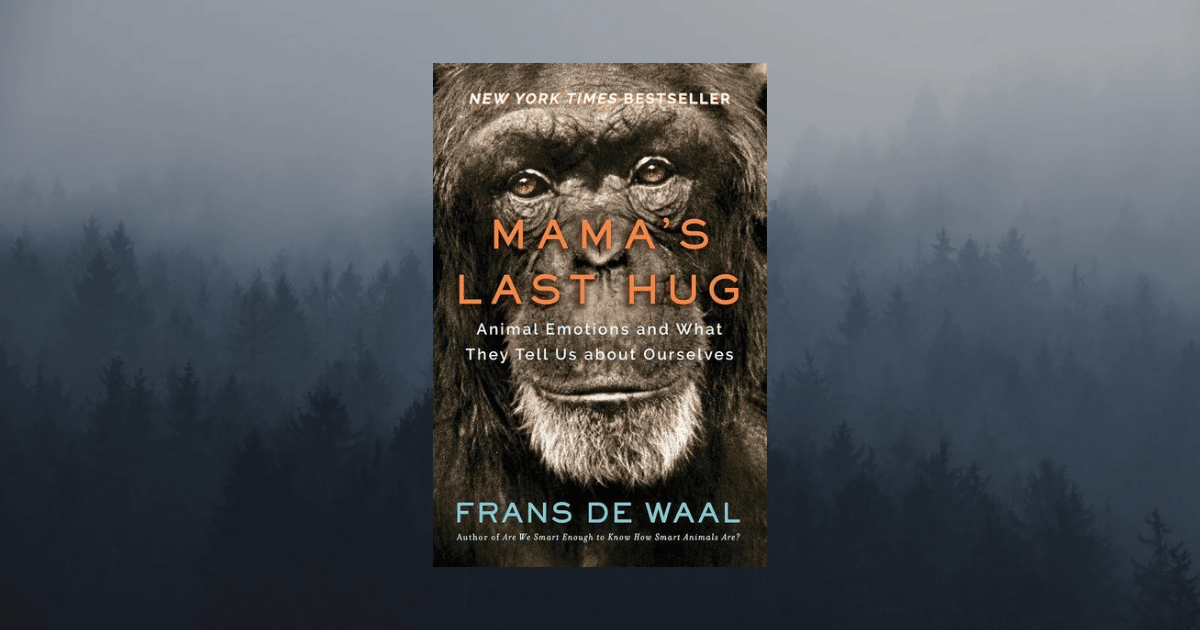 cover buku Mama's Last Hug