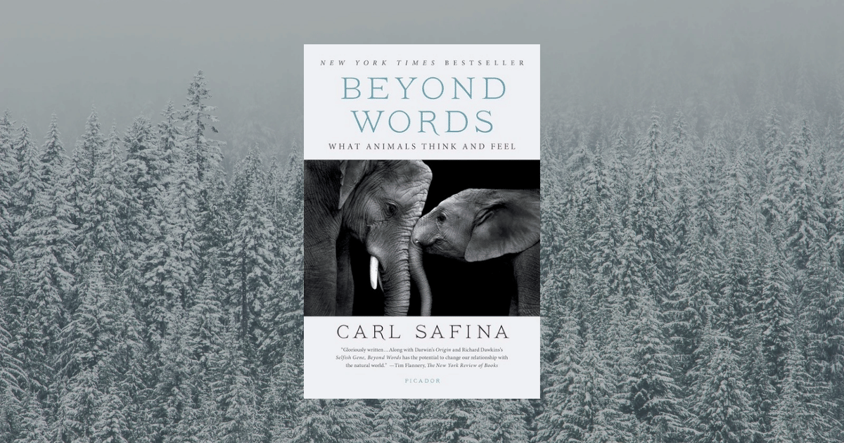 cover buku Beyond Words: What Animals Think and Feel