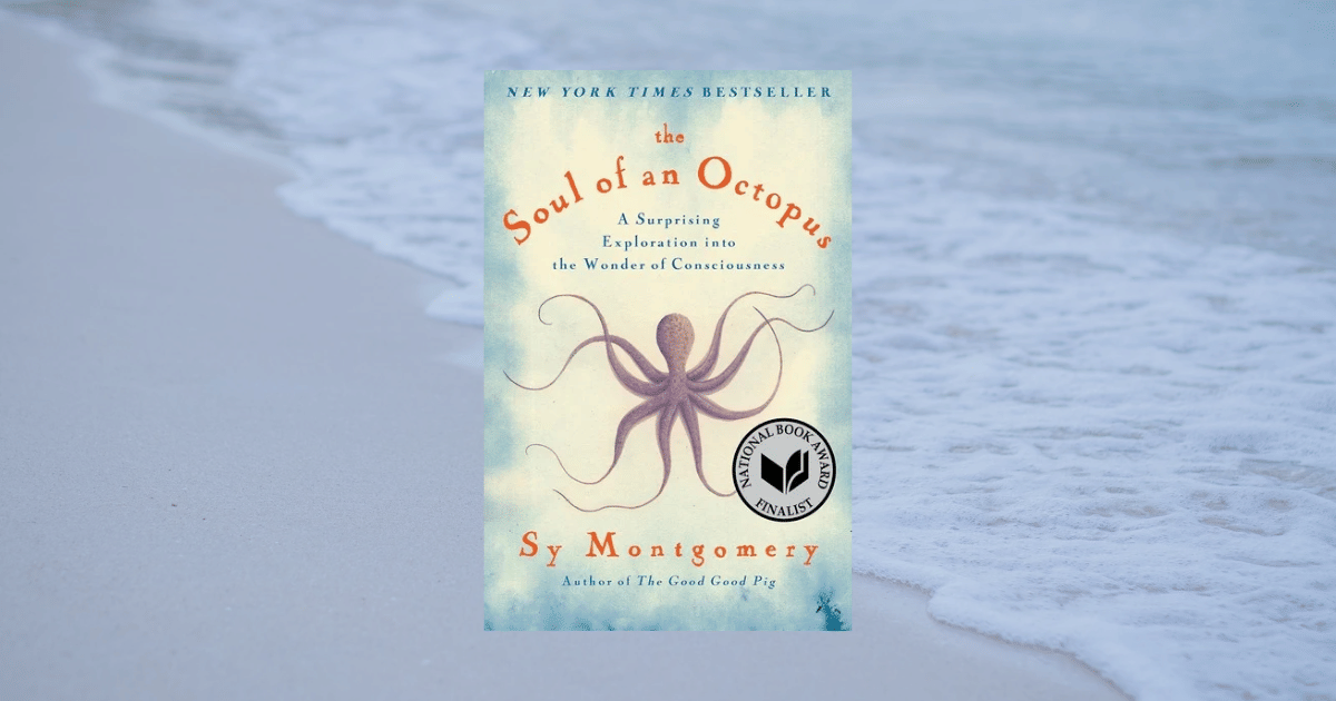 cover buku The Soul of an Octopus