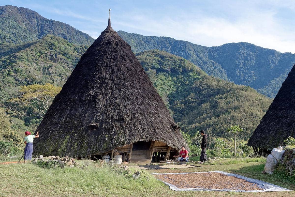 ilustrasi rumah adat Mbaru Niang