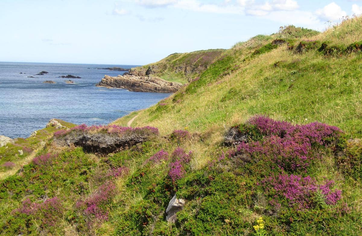 Moray Firth Coast