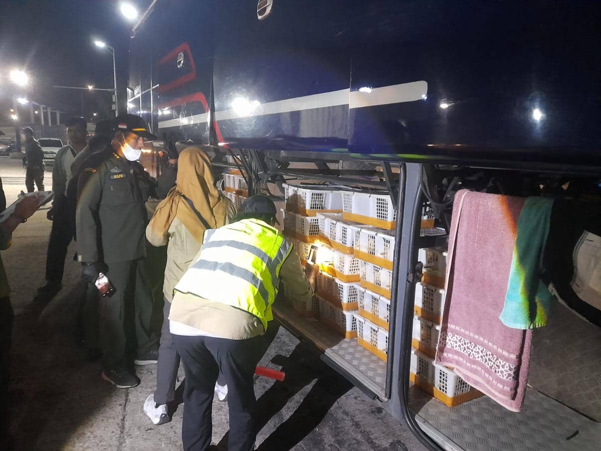 670 Burung Tanpa Dokumen Karantina Diamankan di Bakauheni